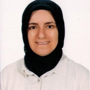 Güney, Jülide