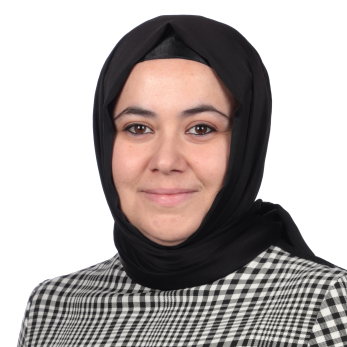 Gülmez, Bilge